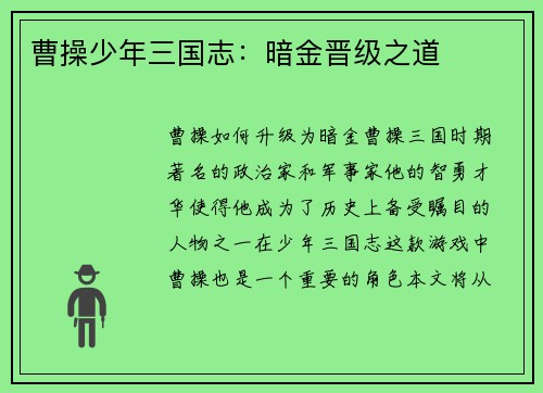 曹操少年三国志：暗金晋级之道